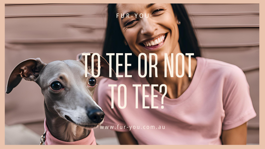 Does Your Dog Really Need a T-Shirt in Australia?