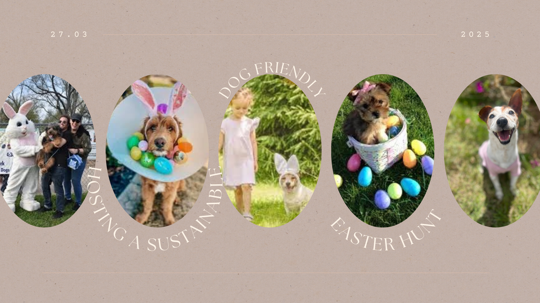Eco-Friendly Easter: Hosting a Sustainable Dog-Friendly Egg Hunt
