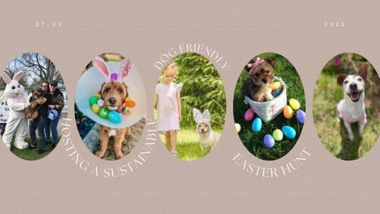 Eco-Friendly Easter: Hosting a Sustainable Dog-Friendly Egg Hunt