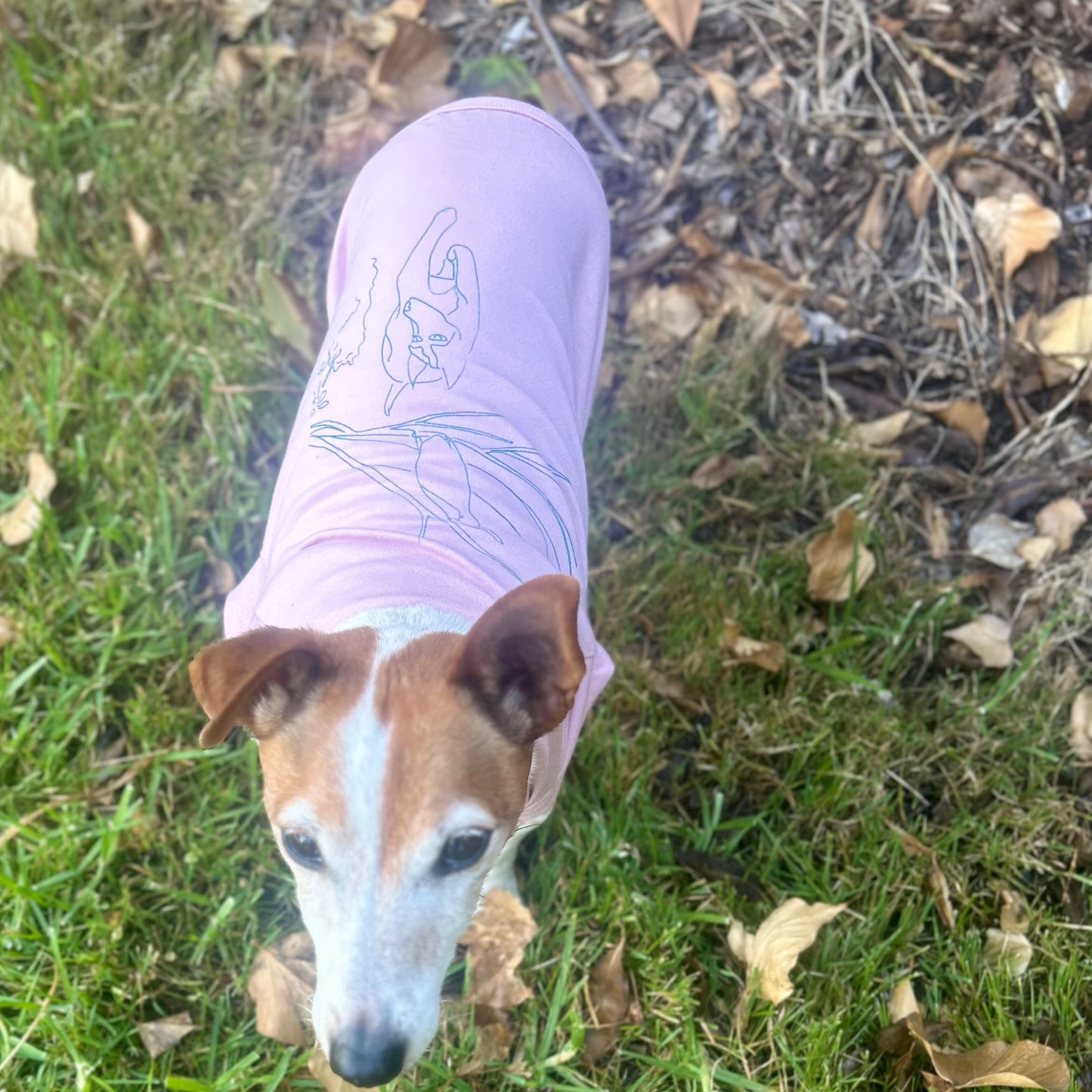 Arial view of Charlie standing up to show full back print of Charlie and the Bird in green on Dusty Pink Tee. Charlie is looking up into the camera