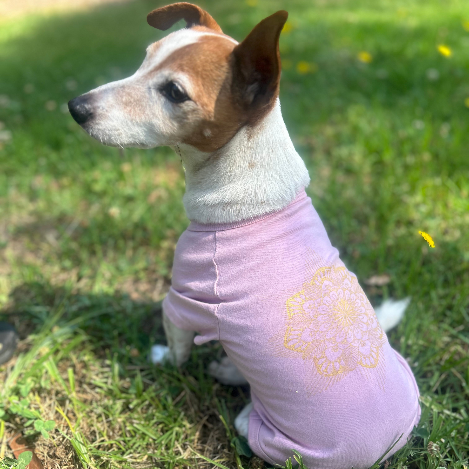 Charlie's back  of Dusty Pink tee showing Gold Mandala print with his face slightly turned