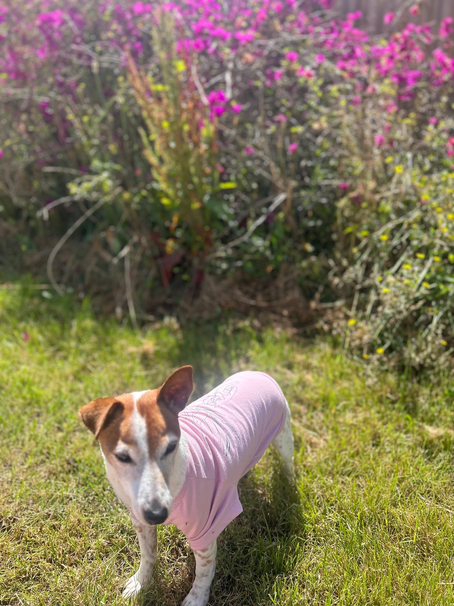 Charlie standing in front of dark pink flower bush wearing his green printed Charlie and the Bird dusty pink tee