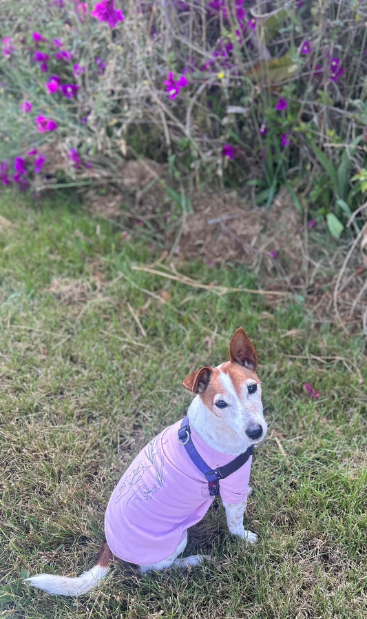 Charlie sitting in front of a flowering bush wearing a dusty pink tee showing a screen printed design in green called "Charlie and the bird" he wears his purple walking harness over the tee