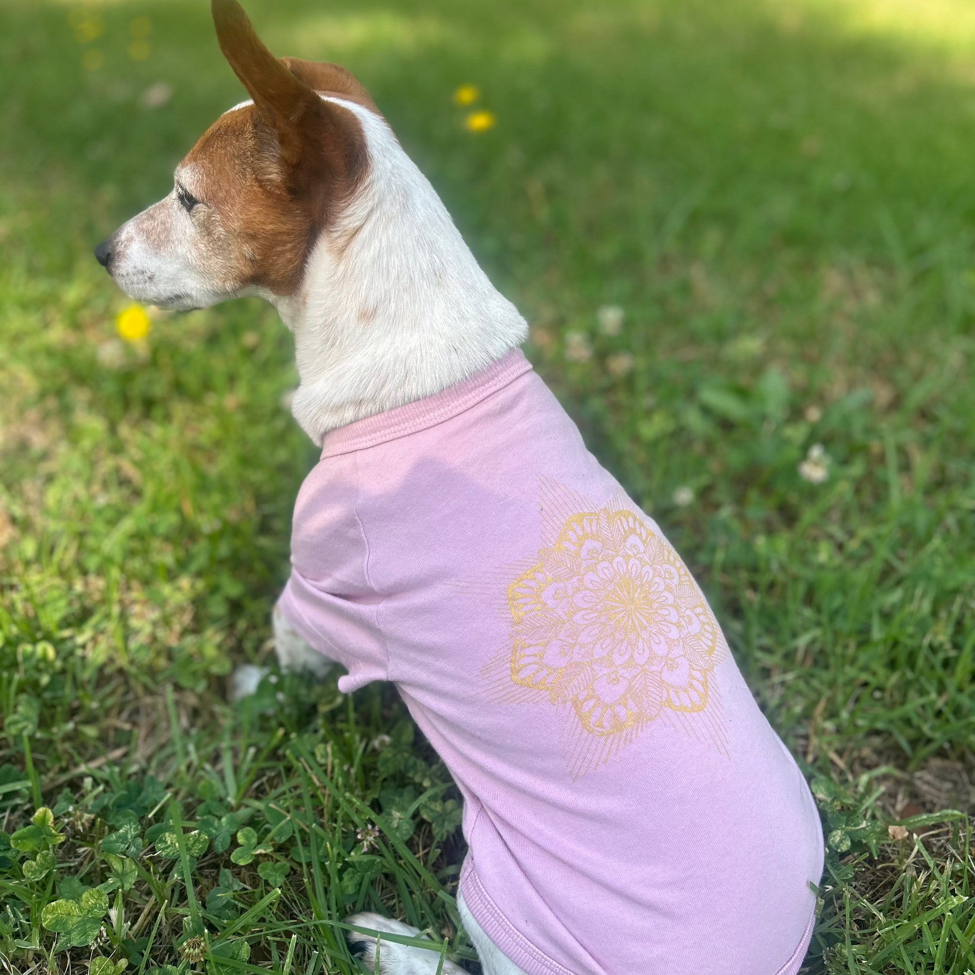 Side back view of Charlie wearing Dusty Pink tee from Mandala collection