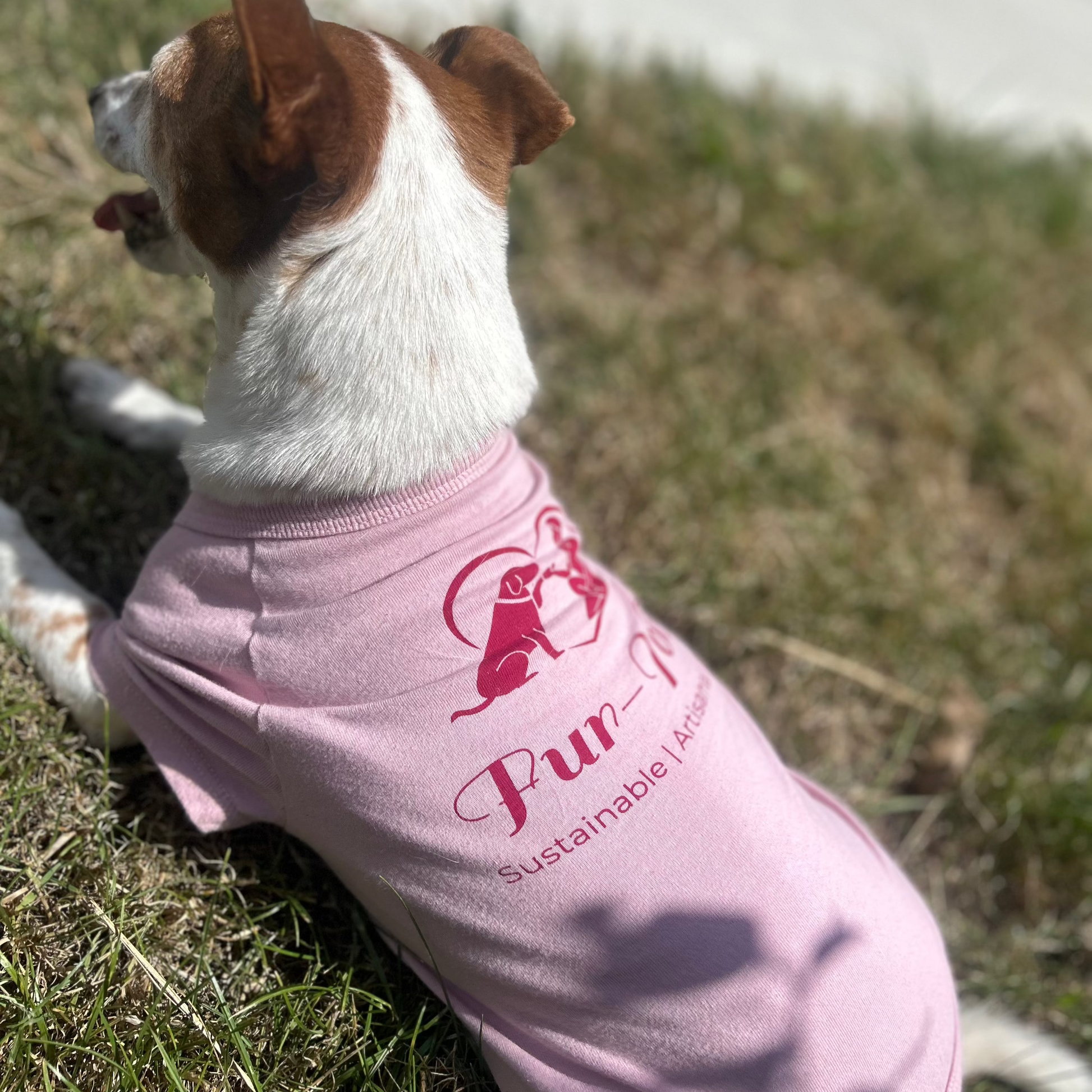 angled view of Charlie laying down back to camera showing back of Fur-You logo printed in Bordeaux on Dusty pink tee