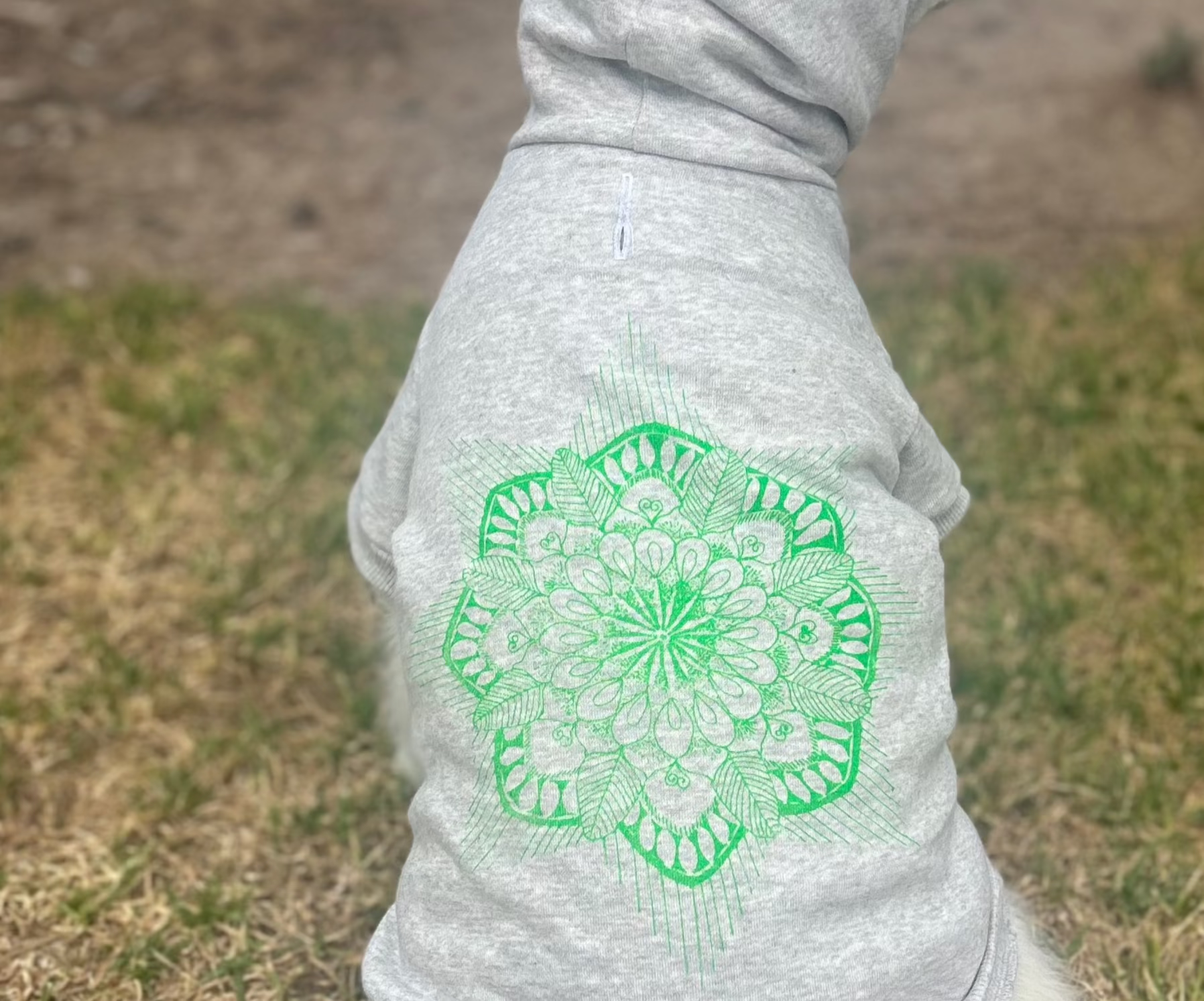 A dog sits on the grass leading to the sand and ocean in the background. The full back view of the hoodie with the hood up shows the relaxed, comfortable fit that’s perfect for outdoor adventures. The eco-friendly glow green screen print subtly adds to the overall look, enhancing the hoodie’s sustainable yet stylish appeal.