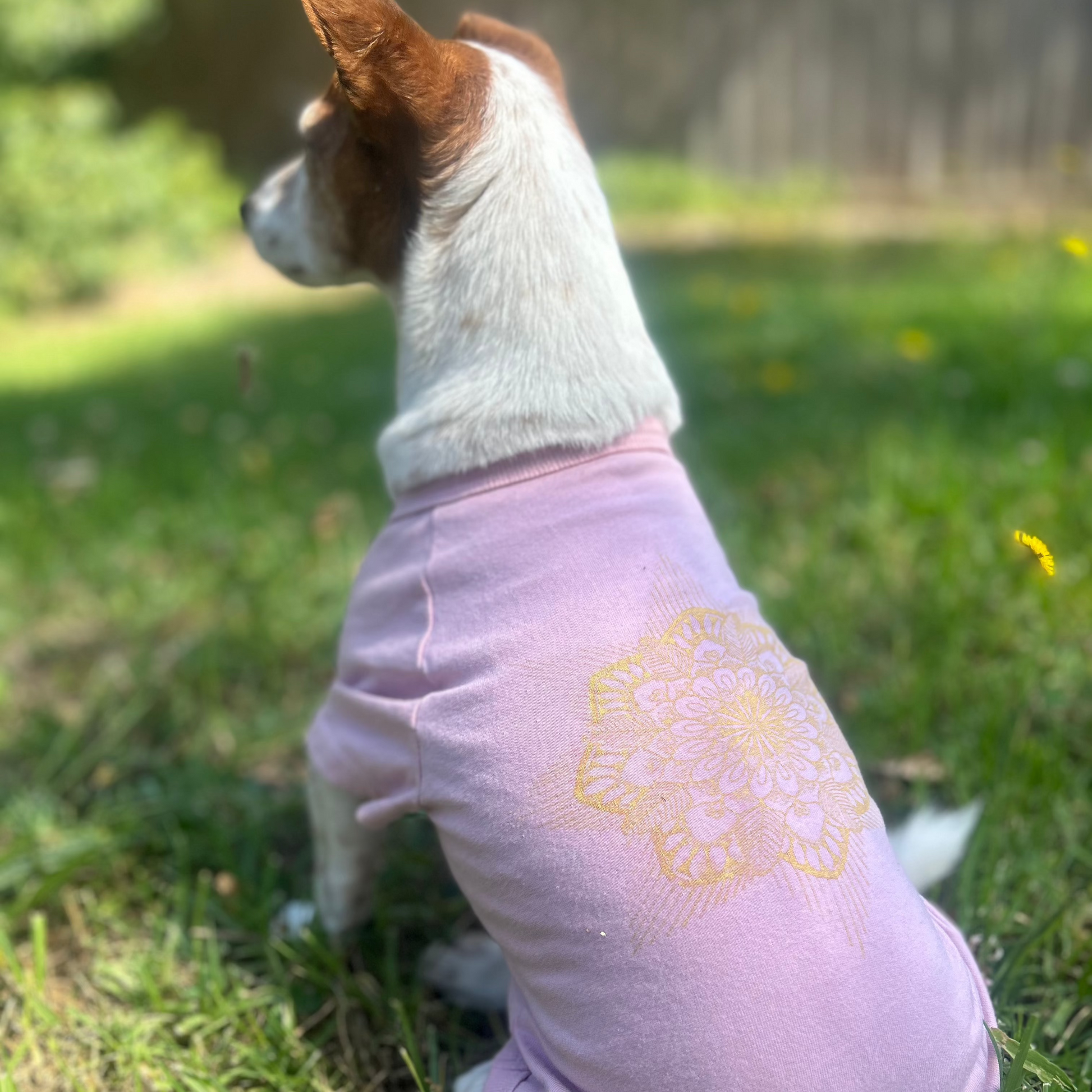 back view on an angle of Charlie sitting wearing Mandala dusty pink tee. Printed in Golde Lustre