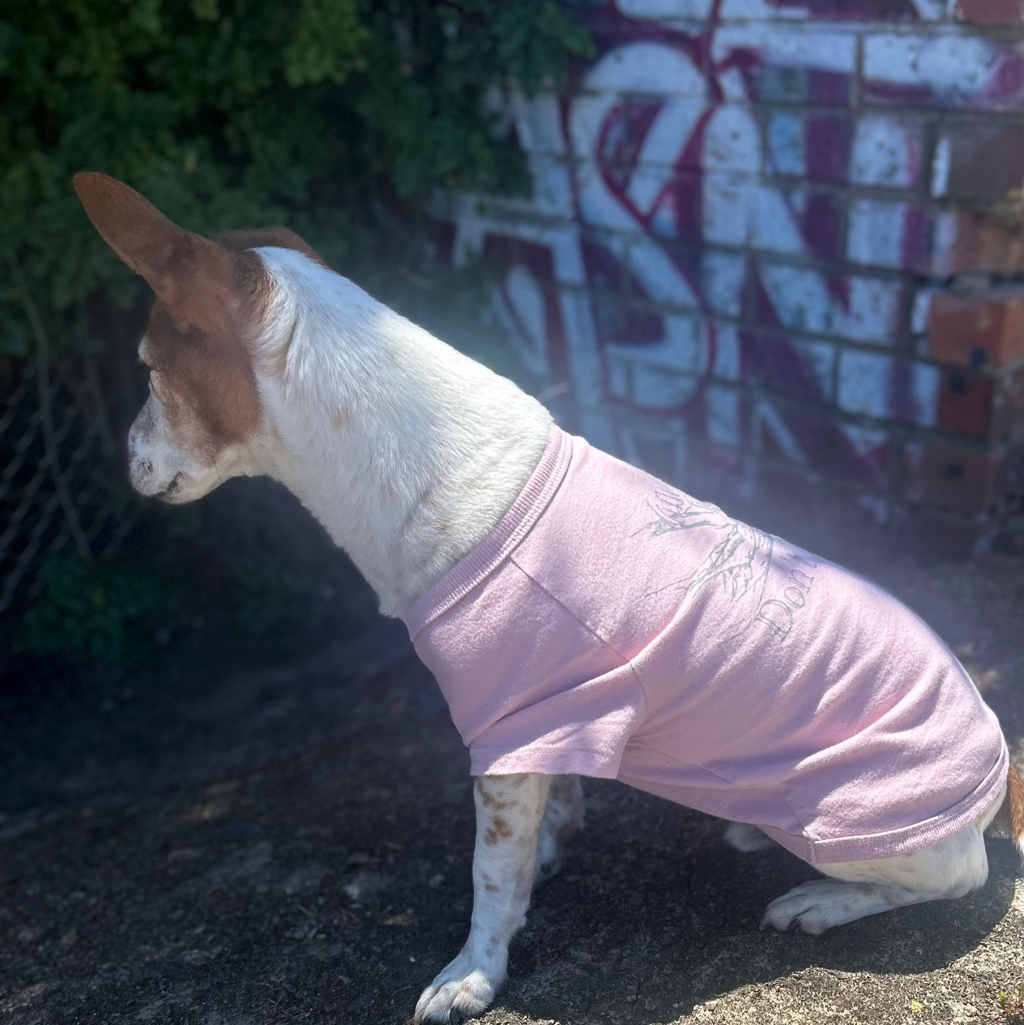 Left-side view of Charlie, the Jack Russell Terrier behind Fur-You, sitting in front of a brick wall adorned with pink and white graffiti, framed by tree leaves. Wearing the dusty pink ‘Bend Don’t Break’ tee made with sustainable Good Earth Cotton. This image blends Melbourne’s inner urban lifestyle with Fur-You’s ethos of art, nature and sustainability