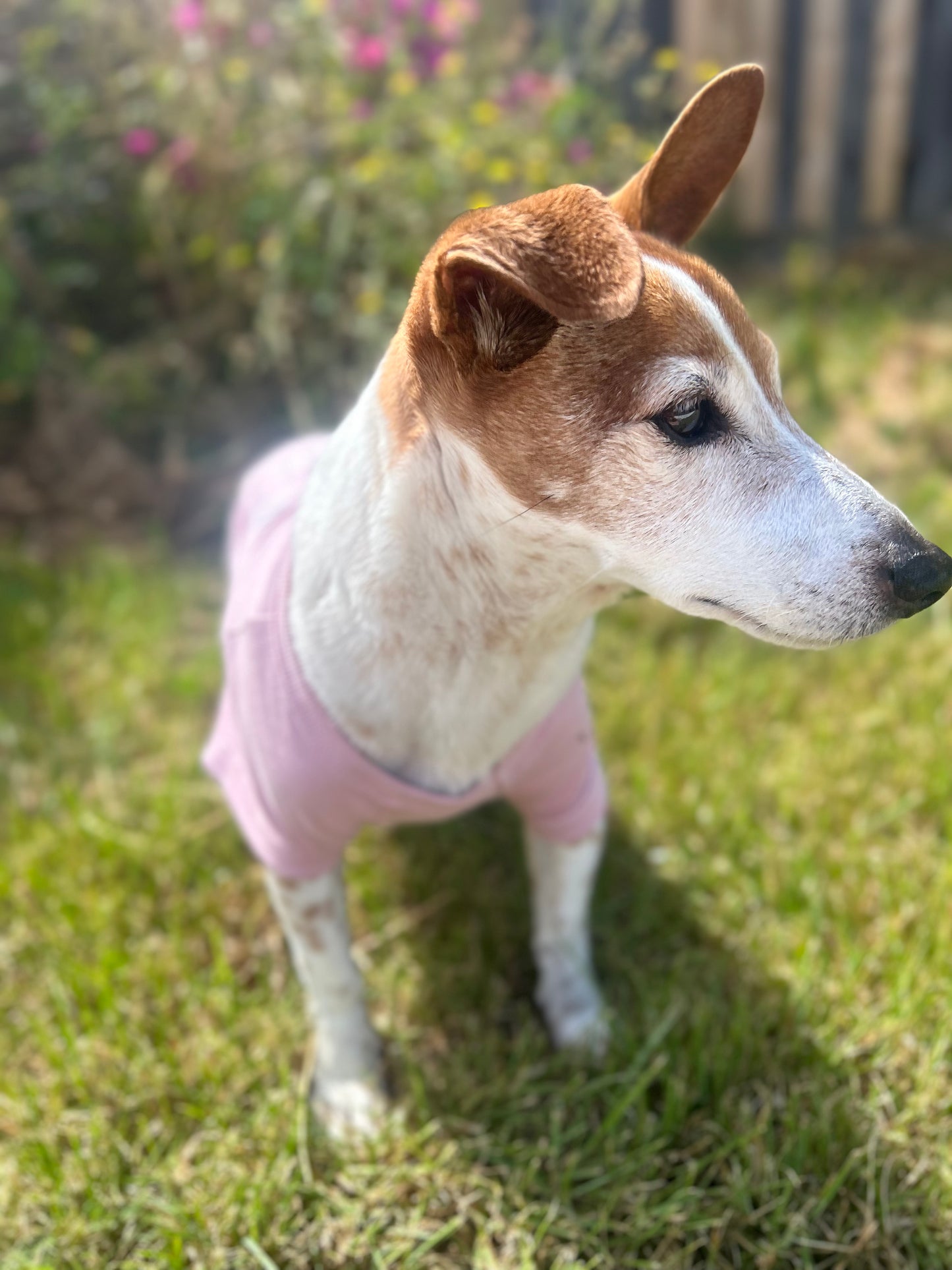 Charlie standing looking off to the side to show front of dusty pink tee. Softly blurred pink flower bush in the background