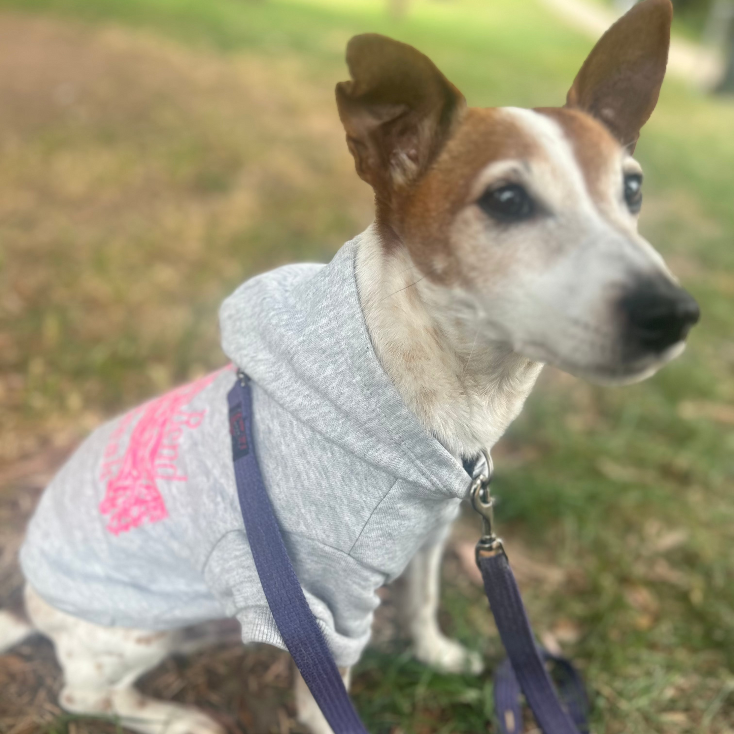 Charlie wears Fur-You’s ‘Bend Don’t Break’ hoodie in glow pink on grey marle, demonstrating its functional design—perfectly fitting over a harness while allowing for easy lead attachment