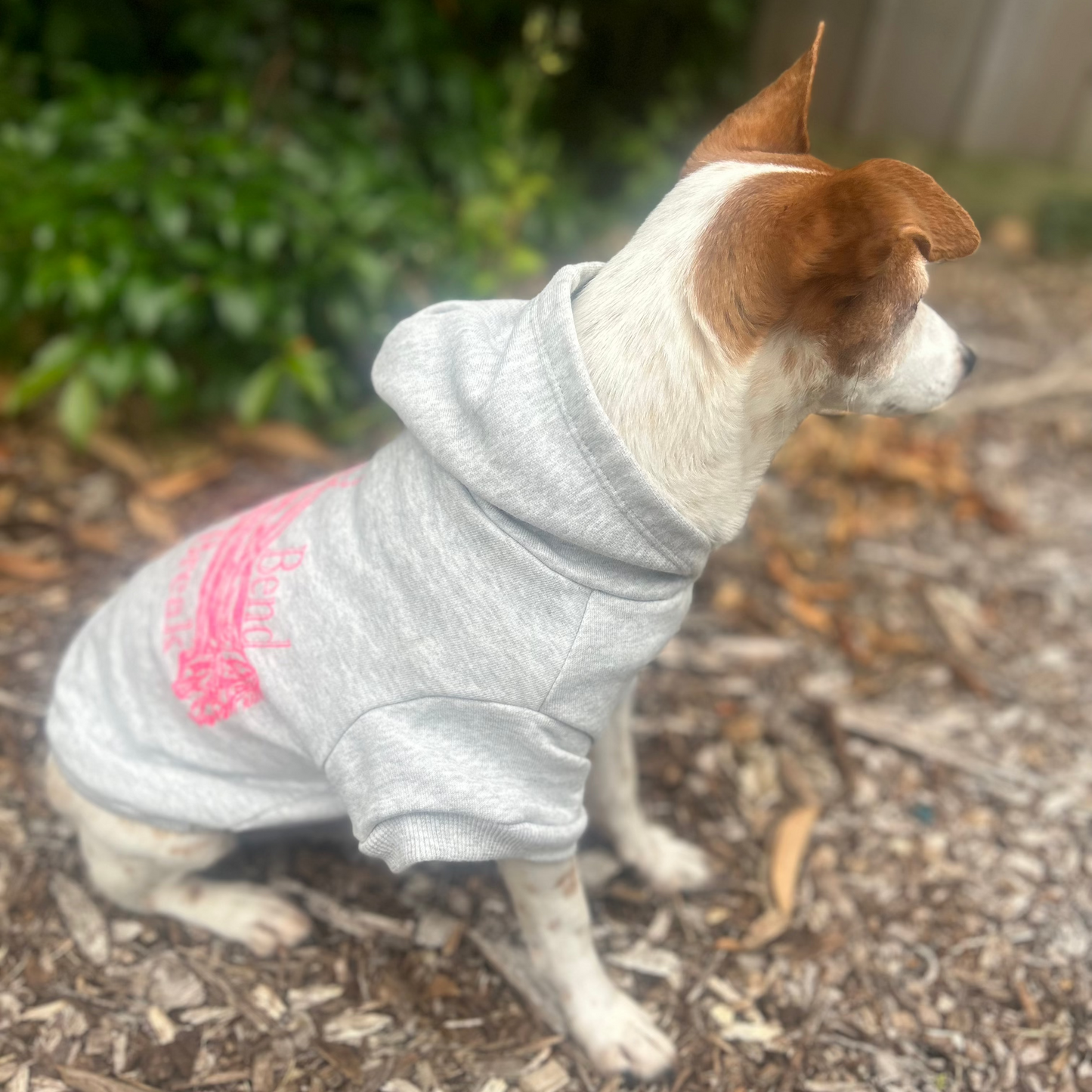 Charlie sits in a park setting, wearing Fur-You’s ‘Bend Don’t Break’ hoodie in glow pink on grey marle. The side view highlights the hoodie’s relaxed yet stylish fit.