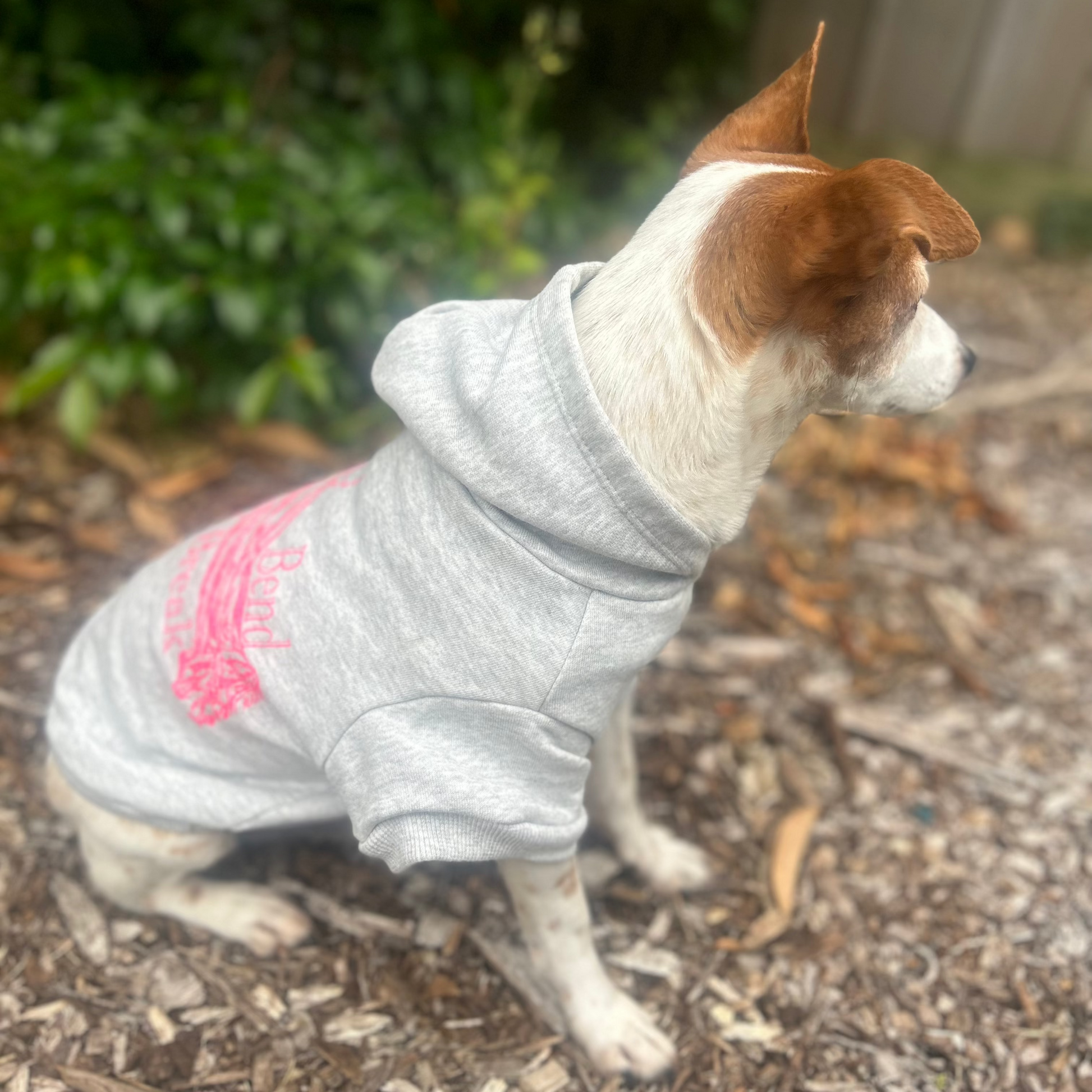Charlie sits in a park setting, wearing Fur-You’s ‘Bend Don’t Break’ hoodie in glow pink on grey marle. The side view highlights the hoodie’s relaxed yet stylish fit.