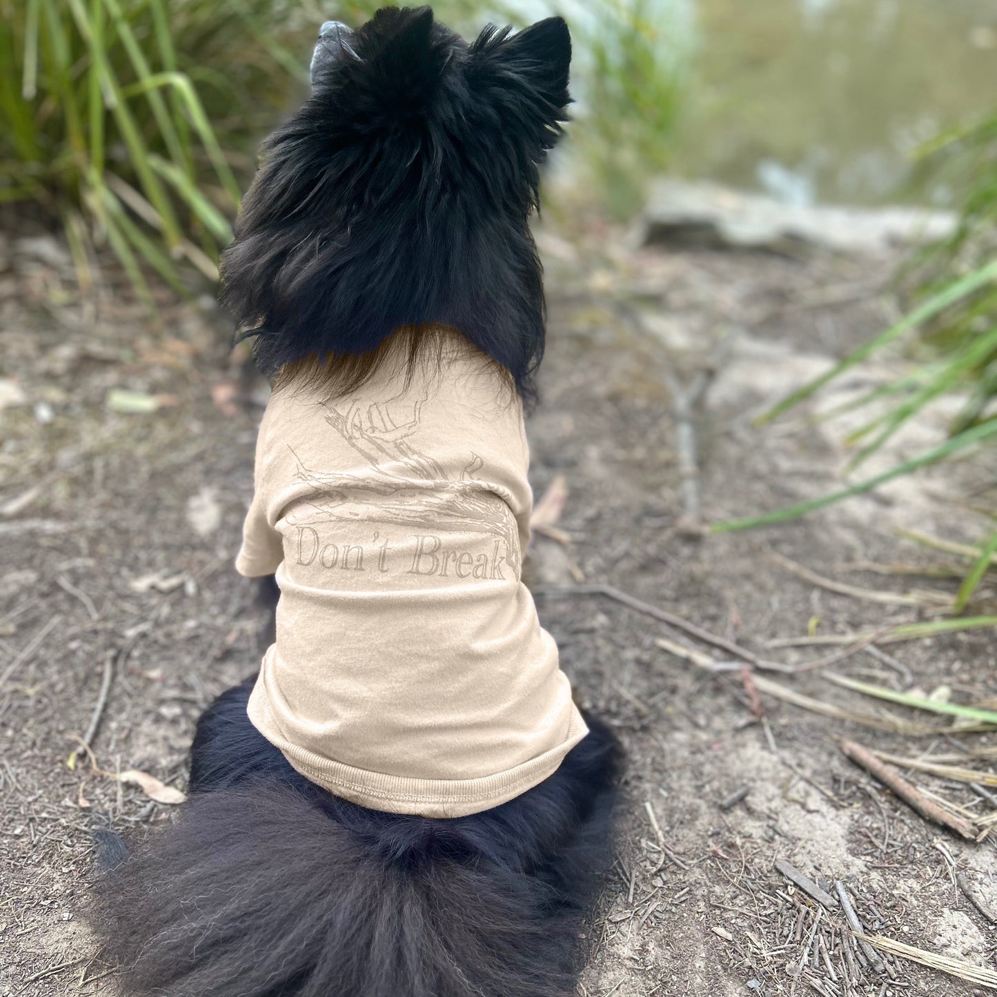 Kuma the black Pomeranian, sits with his back fully turned, showcasing the ‘Bend Don’t Break’ tee in sand with a gold lustre print. This subtle tone-on-tone design reflects understated elegance, complementing the natural landscape. Made with sustainable 190GSM Good Earth Cotton® for comfort and style.