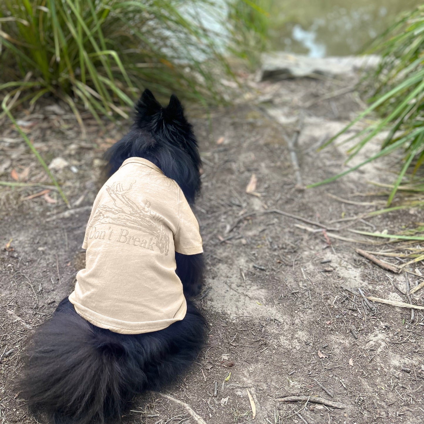 Kuma, sits poised at the edge of the lake in Fur-You’s ‘Bend Don’t Break’ tee in sand with a gold lustre print. Subtle yet stylish, the tone-on-tone design aligns with modern trends, while the Good Earth Cotton® fabric ensures eco-conscious comfort for every adventure