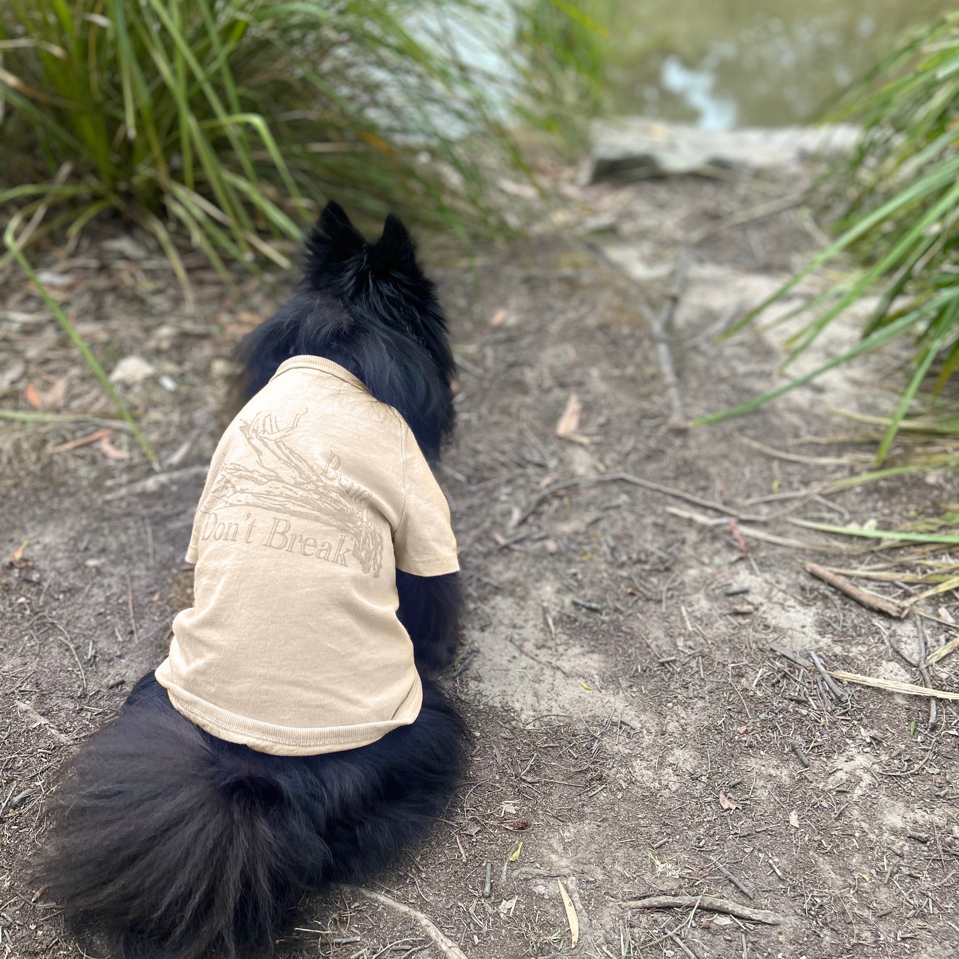 Kuma, sits poised at the edge of the lake in Fur-You’s ‘Bend Don’t Break’ tee in sand with a gold lustre print. Subtle yet stylish, the tone-on-tone design aligns with modern trends, while the Good Earth Cotton® fabric ensures eco-conscious comfort for every adventure