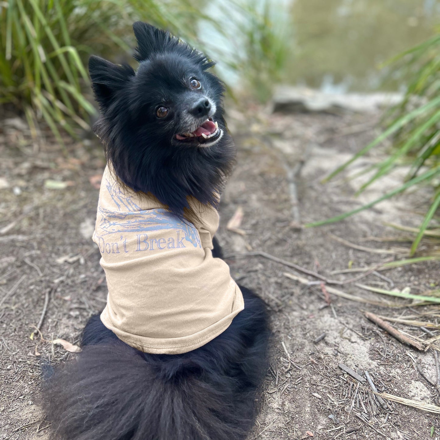 Kuma wearing size small, sits comfortably in Fur-You’s ‘Bend Don’t Break’ tee in sand with a grey print. He turns his head back toward the camera, mouth slightly open in a joyful expression, his bushy tail elegantly curled. A perfect blend of sustainable craftsmanship and style