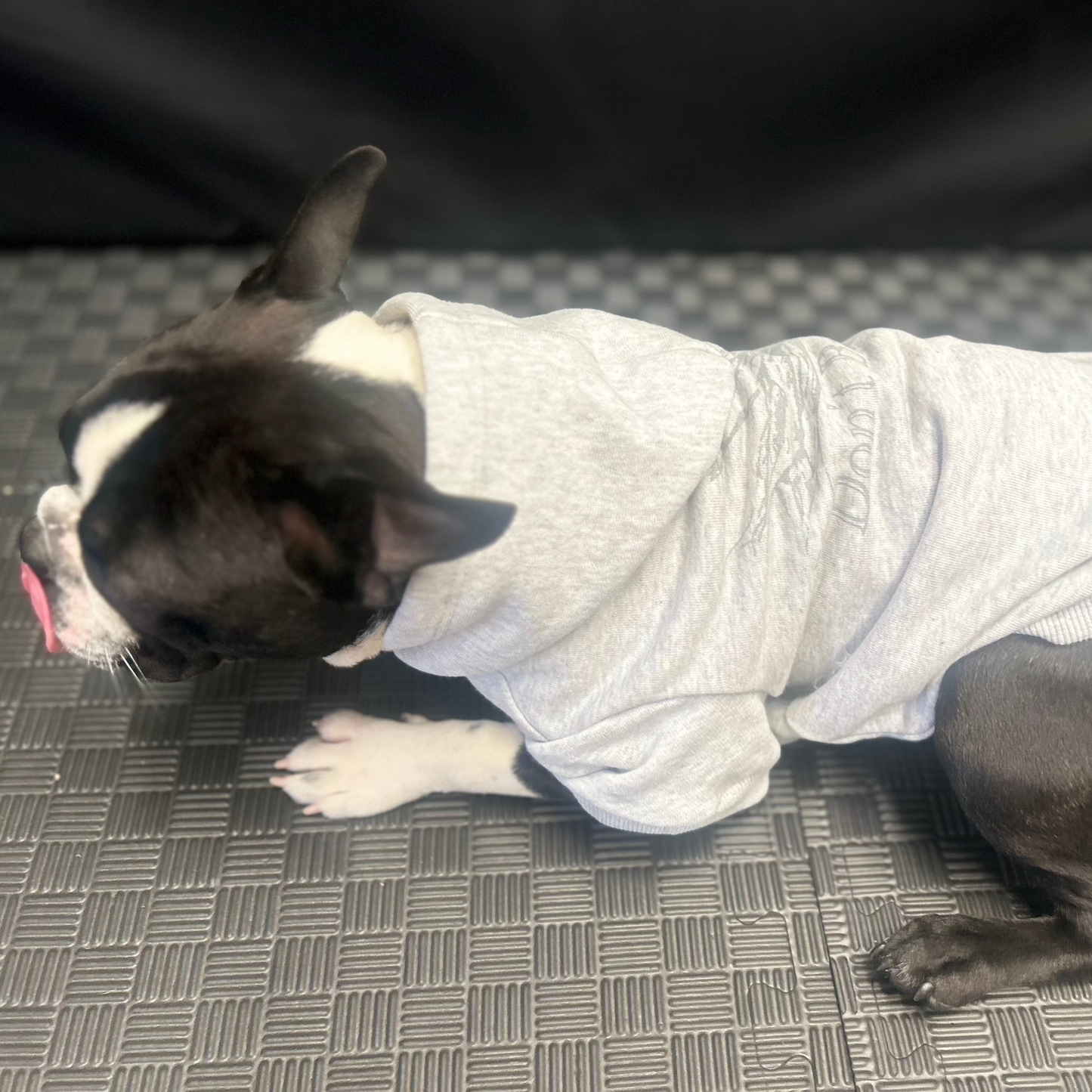 Bonnie, relaxed and content, licks her lips while lounging in Fur-You’s ‘Bend Don’t Break’ hoodie in grey on grey marle. Designed for comfort and freedom of movement