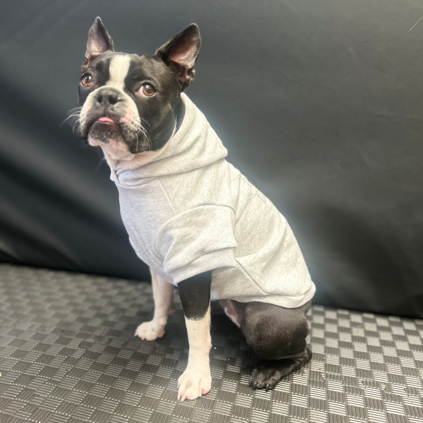Bonnie, full of personality, wears Fur-You’s ‘Bend Don’t Break’ hoodie in grey on grey marle size medium. A side view showcases the hoodie’s tailored fit, with her tongue slightly out and ears perked up.