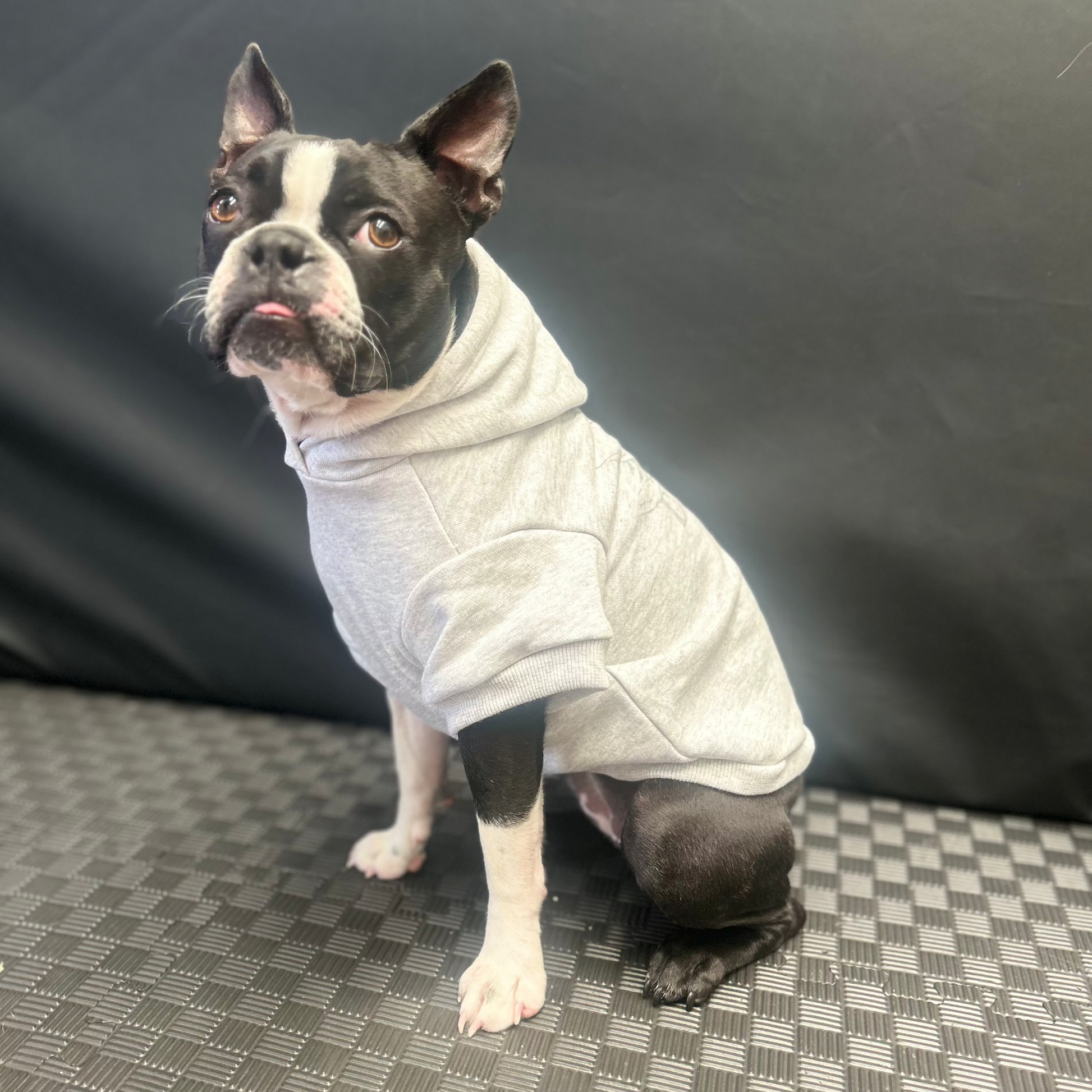 Bonnie, full of personality, wears Fur-You’s ‘Bend Don’t Break’ hoodie in grey on grey marle size medium. A side view showcases the hoodie’s tailored fit, with her tongue slightly out and ears perked up.