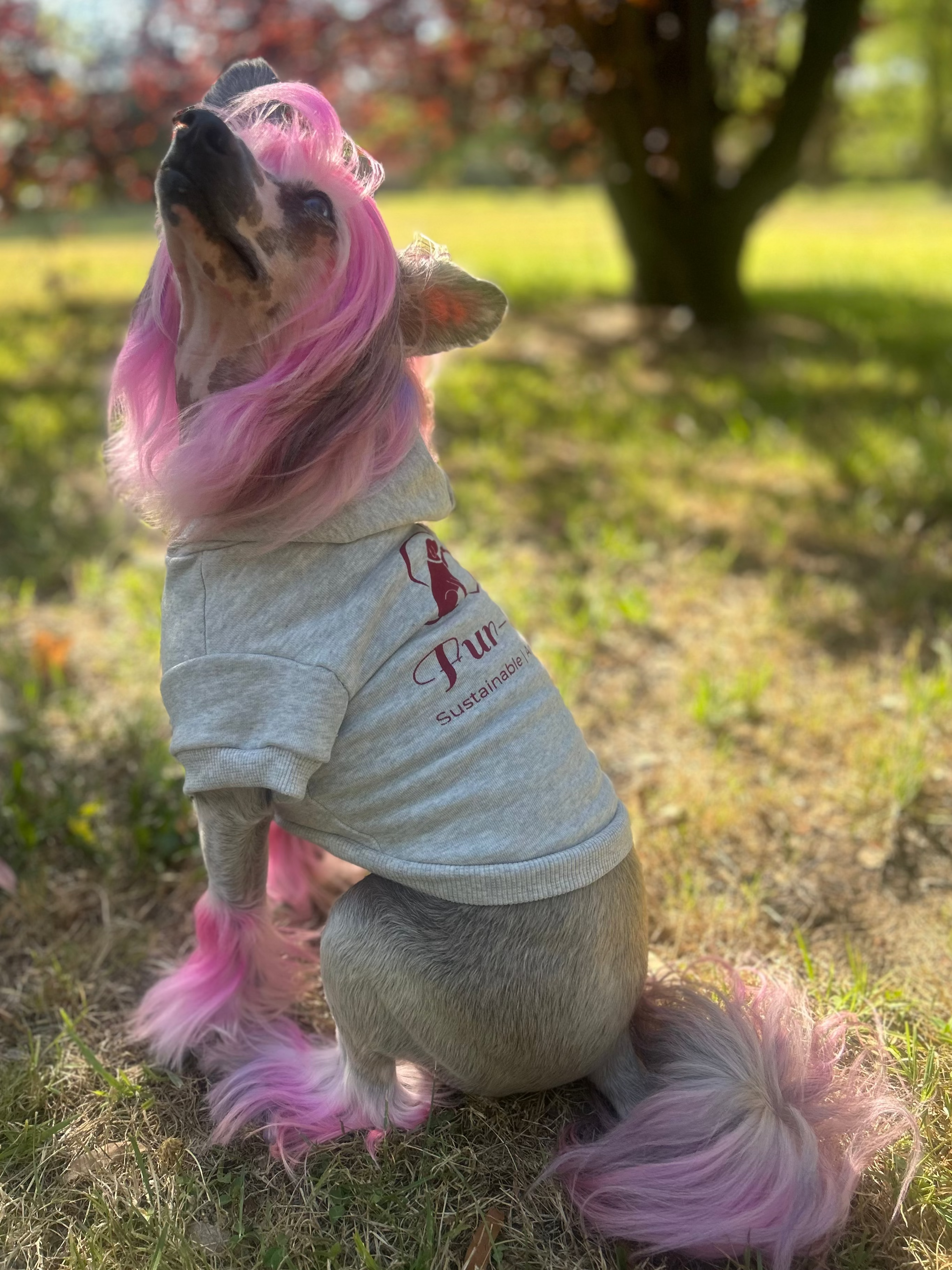 Lala tilts her head toward the sky, standing against a backdrop of red autumn leaves that perfectly match the Bordeaux print on her Fur-You Logo Hoodie. A harmonious blend of nature, sustainability, and artistry in one frame