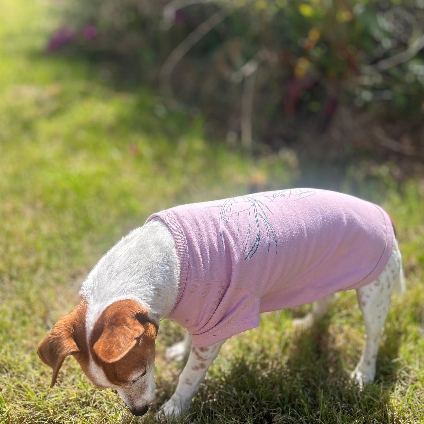 Charlie sniffing around while modeling the Charlie and the Bird in green print and Dusty Pink Tee