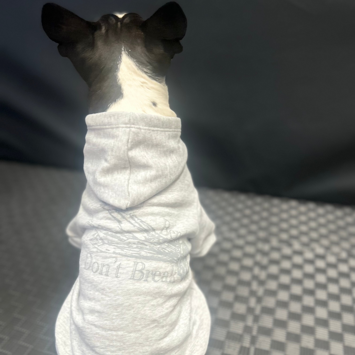 Bonnie lifts her head in Fur-You’s ‘Bend Don’t Break’ hoodie in grey on grey marle. The back view highlights the print’s elegant detailing, while her perked ears add charm.