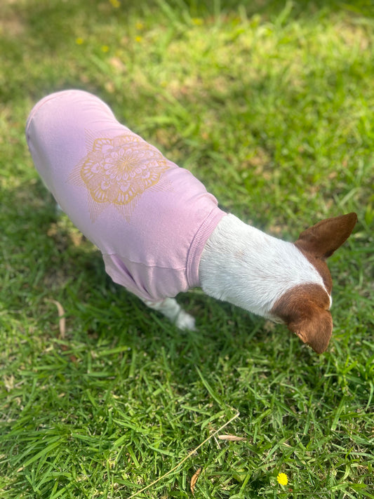 Arial back shot of gold Mandala Print on Dusty Pink Tee Charlie is modeling