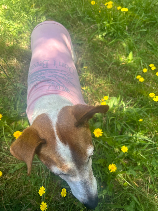Bend Don’t Break Dog Tee – Dusty Pink