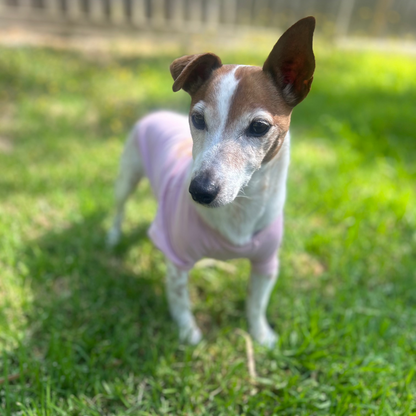 Charlie standing face fronting with slightly blurred Mandala in background