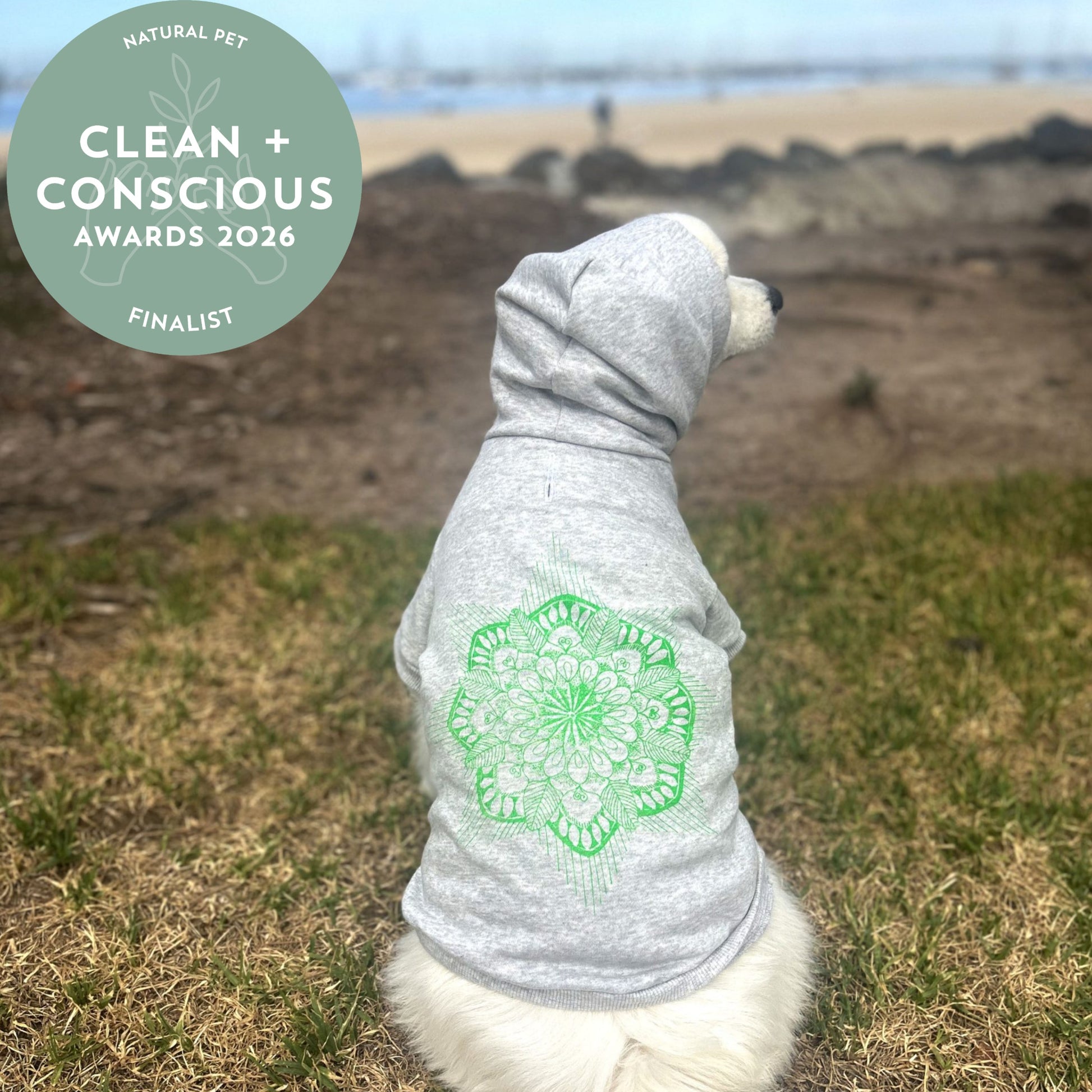 Nominated finalist for natural pet accessory in clean + concious awards 2026 rosette in top left corner of image for a dog sits on the grass leading to the sand and bayside of Melbourne in the background. Full back view of the hoodie with the hood up shows the relaxed, comfortable fit that’s perfect for outdoor adventures. The eco-friendly glow green screen print of the Mandala subtly adds to the overall look, enhancing the hoodie’s sustainable yet stylish appeal.