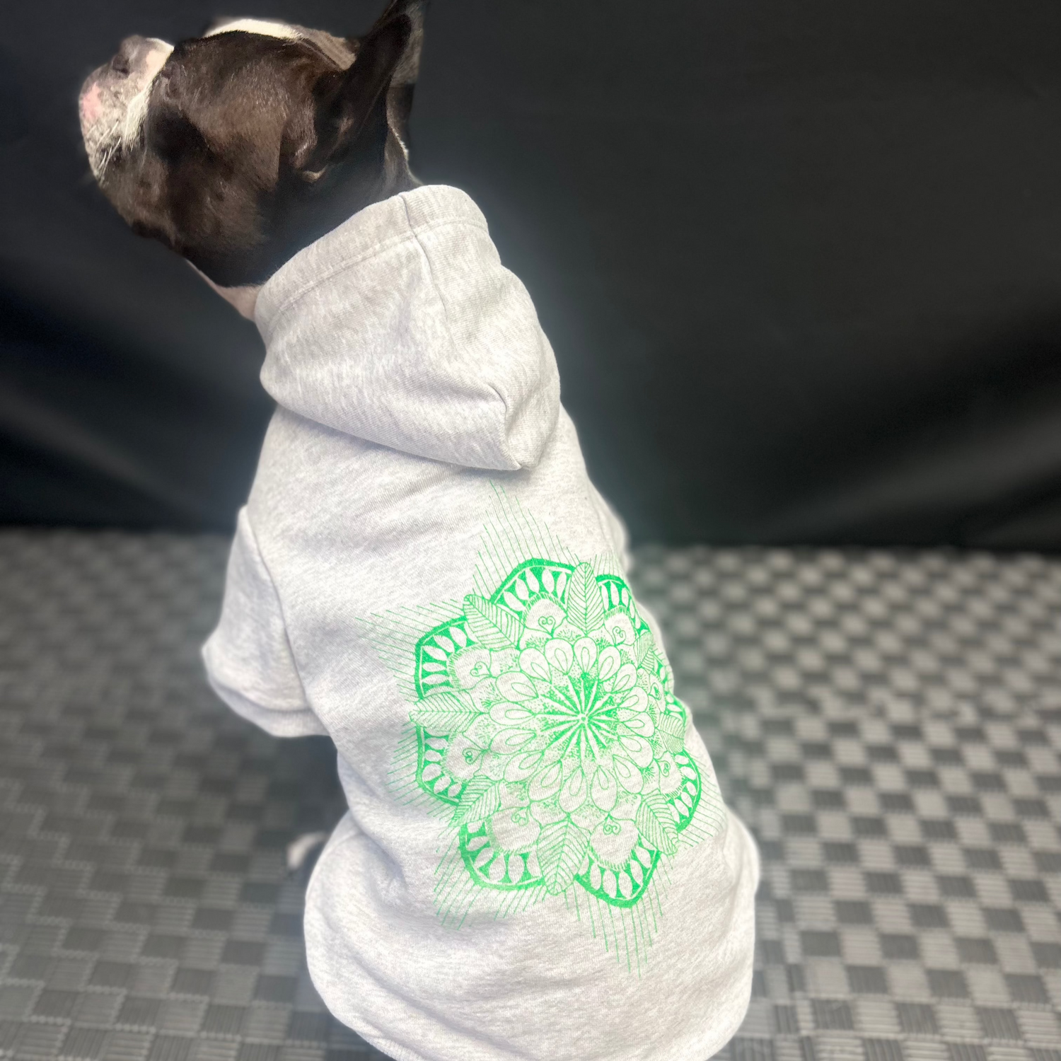 Bonnie, the Boston Terrier, is shown from the back, with her head slightly tilted to the left. The mandala print on the hoodie is visible, showcasing the unique and artistic design. The hoodie sits comfortably on her, exemplifying the brand’s focus on both style and comfort for pets. The design represents a blend of creativity and eco-consciousness, made with good earth cotton and sustainable materials.