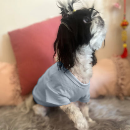 Clara, a tiny Shih Tzu, playfully lifts her paw while wearing Fur-You’s ‘Charlie and the Bird’ print tee in blue on dusty blue fabric. The XS fit is perfect for small breeds.