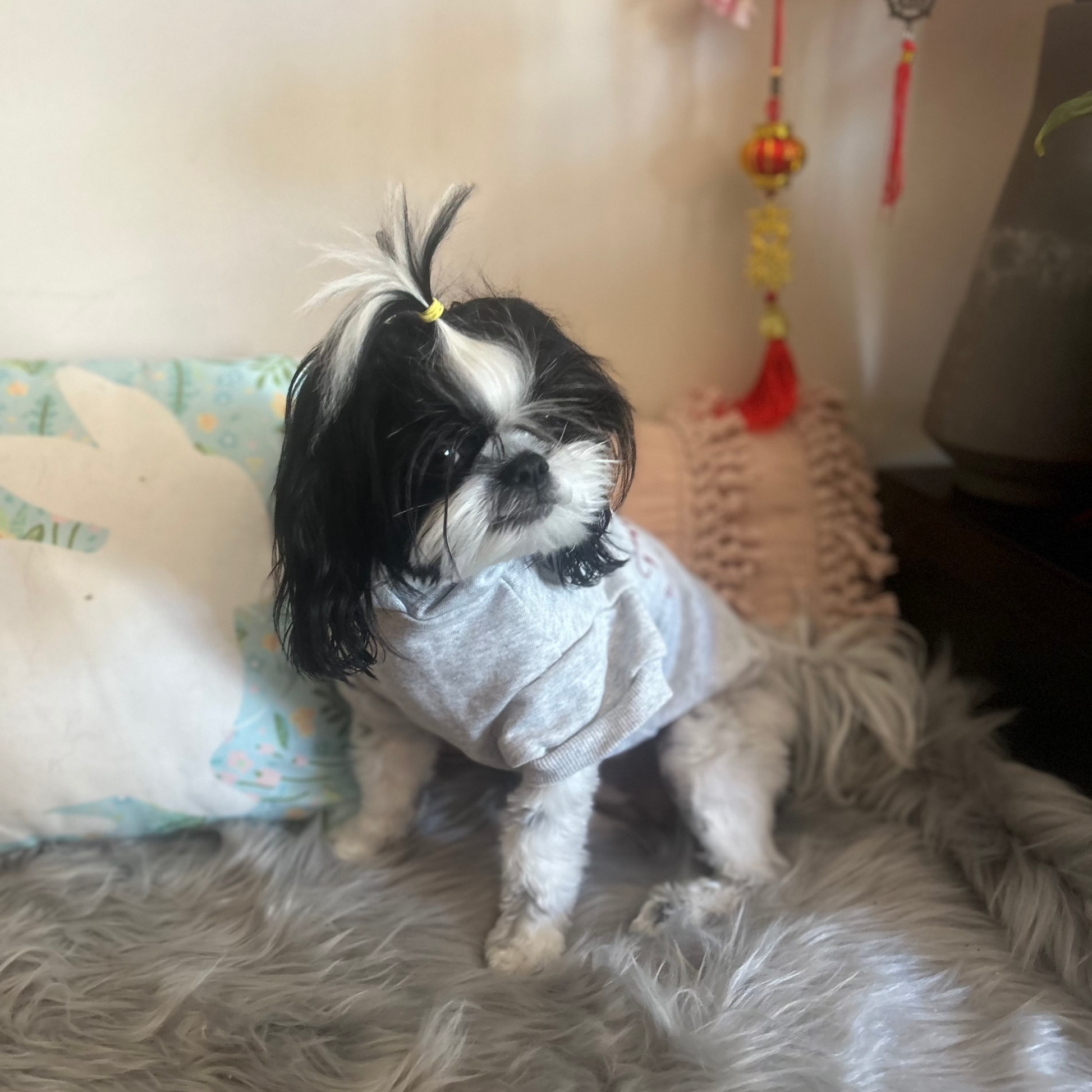 Clara glances over her left shoulder, the grey marle Fur-You Logo Hoodie draping naturally as she moves. A blend of effortless style and eco-conscious craftsmanship designed for pets who love the planet