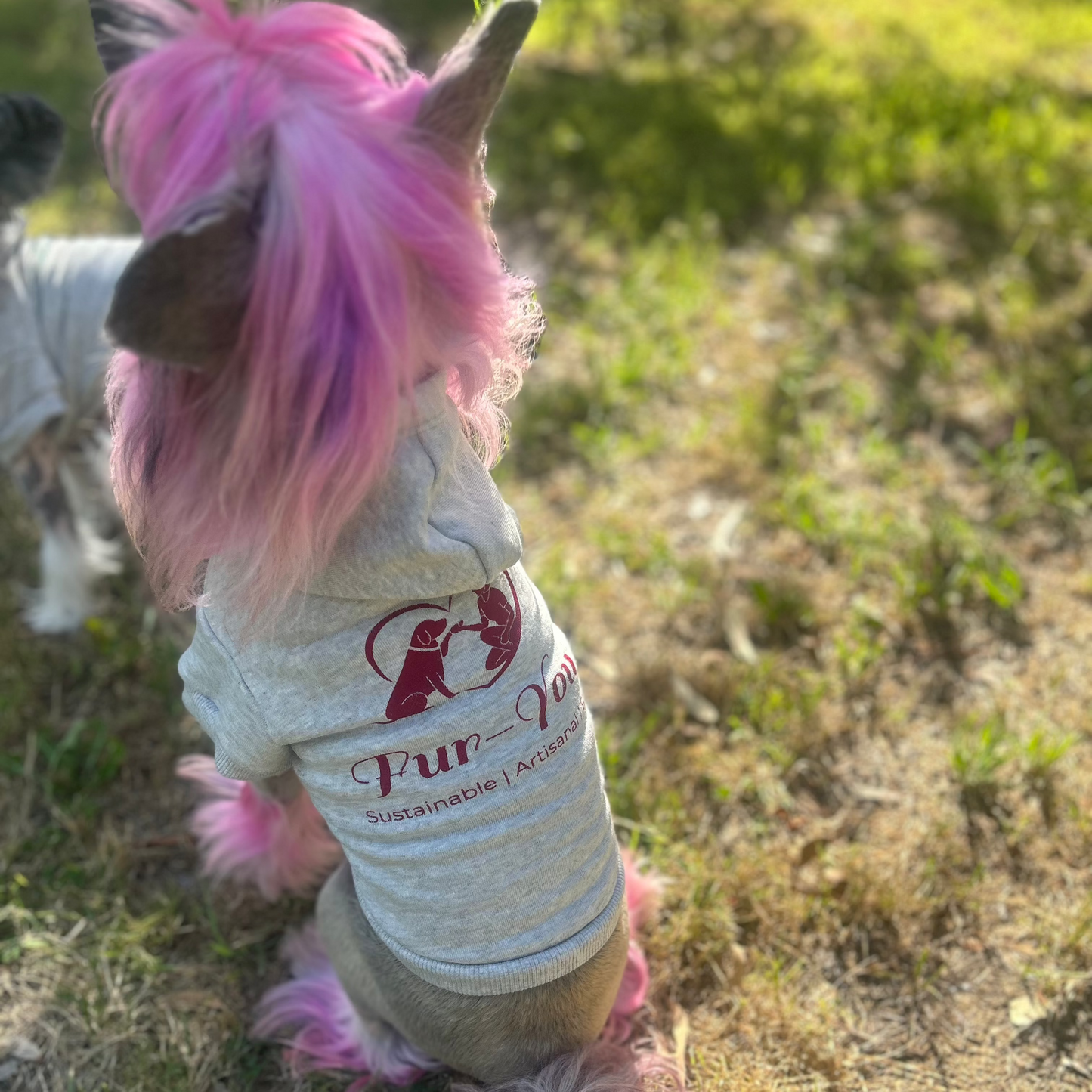 After a joyful run, Lala sits gracefully in the park, her back to the camera, showcasing the Fur-You Logo Hoodie in grey marle. Her signature pink hair adds a playful, fashion-forward touch to this sustainable petwear piece