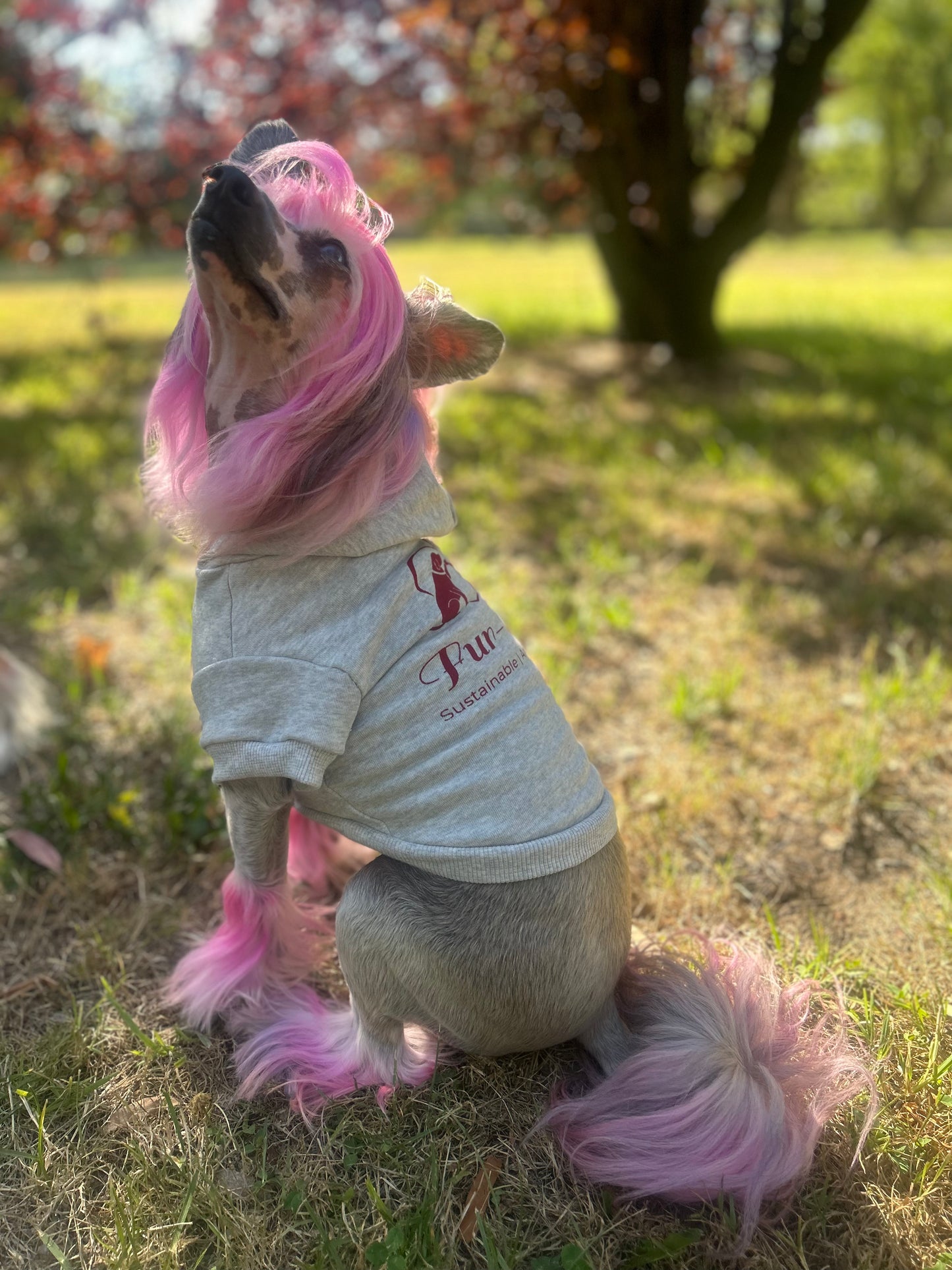 Lala tilts her head toward the sky, standing against a backdrop of red autumn leaves that perfectly match the Bordeaux print on her Fur-You Logo Hoodie. A harmonious blend of nature, sustainability, and artistry in one frame