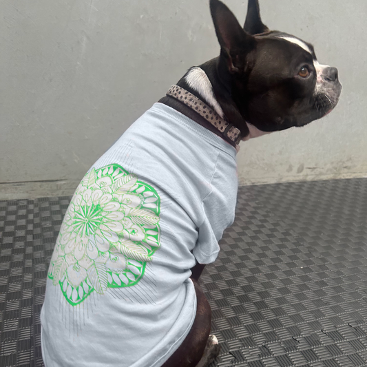 Bonnie gives a slight turn, offering a dynamic view of the Mandala Green Glow tee in dusty blue. The luminous hand-printed design stands out against the rich fabric, a reflection of Fur-You’s commitment to sustainability and artistry. A statement piece for pets who appreciate style and comfort.