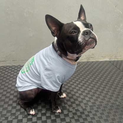 Bonnie sits contentedly in her Fur-You Mandala Glow tee, ears perked and eyes squinting softly. The side view highlights the structured yet breathable fit, made from ethically sourced 190GSM cotton. A perfect fusion of eco-conscious craftsmanship and pet-friendly fashion