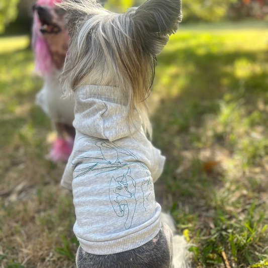Lusion, our XXS Chinese Crested dog. Sits proudly in a grey marle ‘Charlie and the Bird’ hoodie, showcasing the vibrant green print on the back. She faces her sister, Lala, who is slightly blurred in the background, also wearing a hoodie and facing the camera. The scene captures the playful energy of Lusion, with her perked ears and the serene park setting, reflecting Fur-You’s dedication to sustainable, stylish petwear crafted for active companions, fostering a strong sense of community and love for dogs