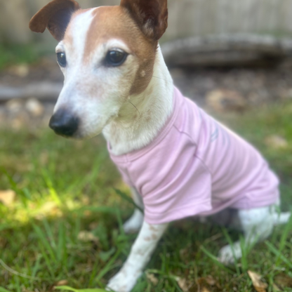 Charlie sitting showing his left side of the pink tee in Charlie and the bird