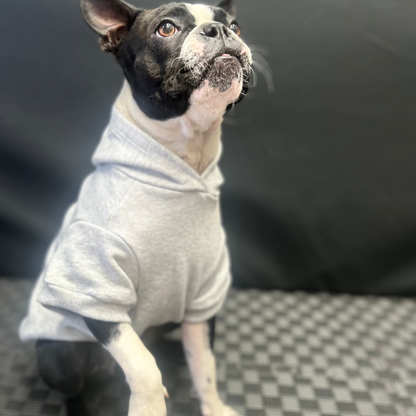 Bonnie, a stylish pup, poses in Fur-You’s ‘Bend Don’t Break’ hoodie in grey on grey marle. She lifts her front paw slightly, capturing her playful and resilient spirit